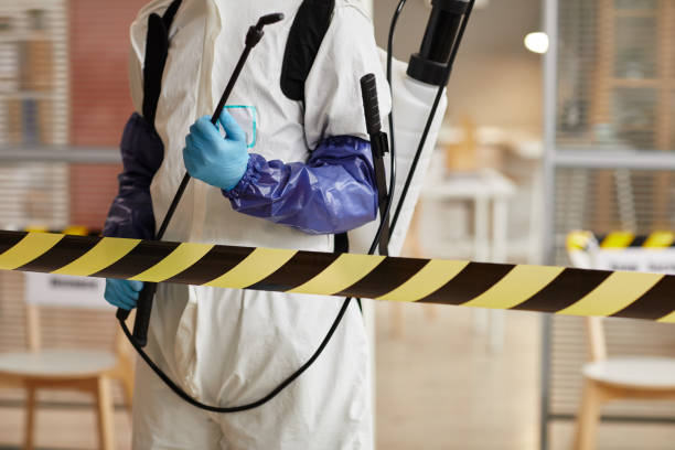 Professional Sewage Cleanup technician working in Piñon Hills, CA
